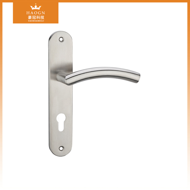 Stainless Steel Door Handle on Panel