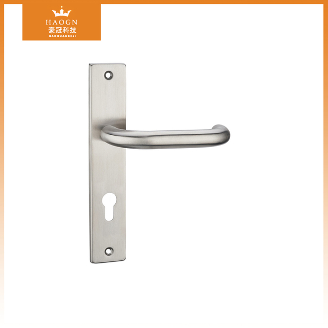 Stainless Steel Door Handle on Panel