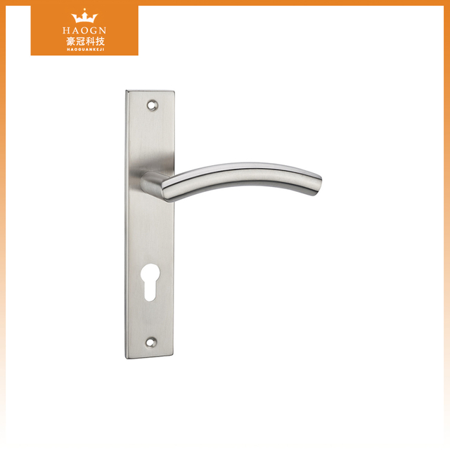 Stainless Steel Door Handle on Panel